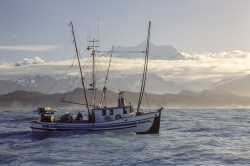 Gulf of Alaska Trollers